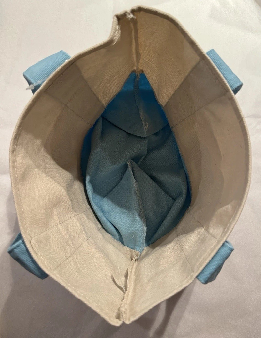 TRADER JOE’S MINI PASTEL CANVAS TOTE BAG BABY BLUE NWT FREE GIFT FAST SHIP 🎁