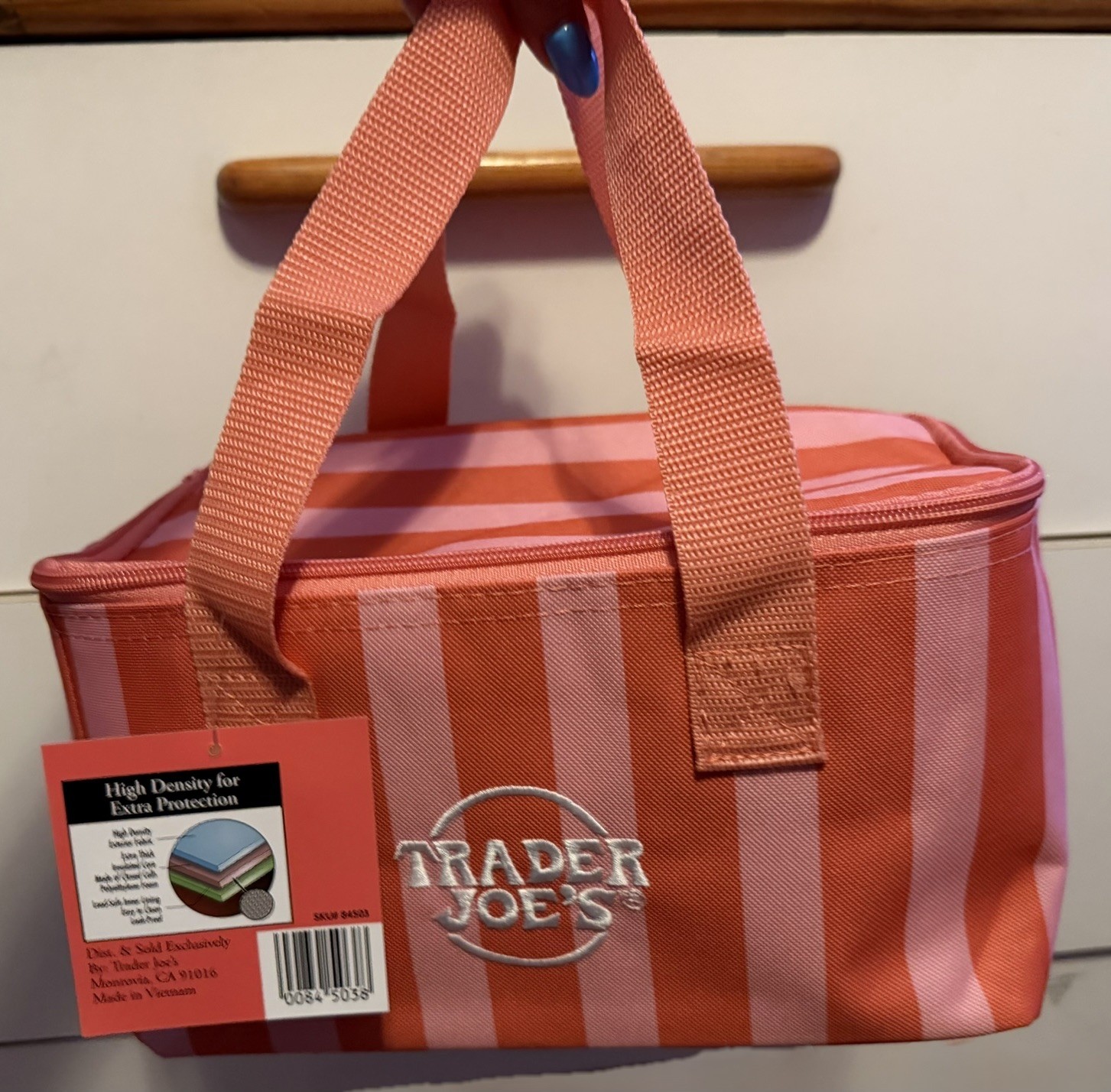 Trader Joe’s Mini Insulated Tote Bag – Summer 2026 Set of 6 Limited Edition NEW