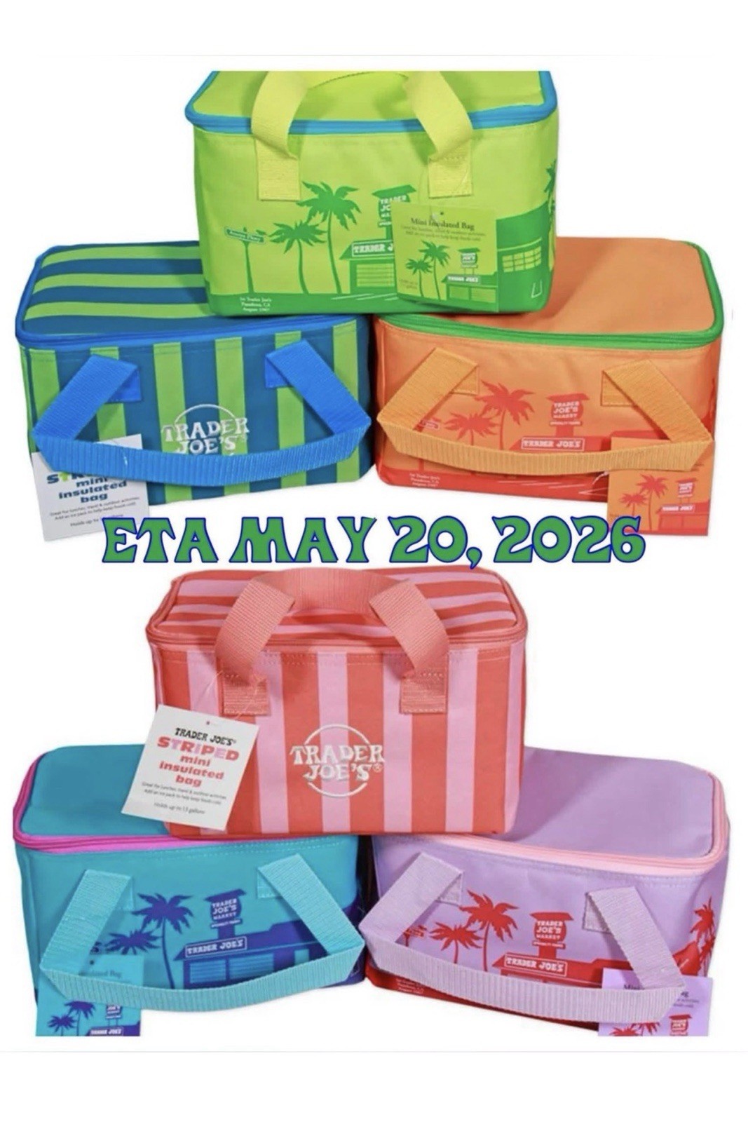 Trader Joe’s Mini Insulated Cooler Tote Bag Summer 2026 set of 6