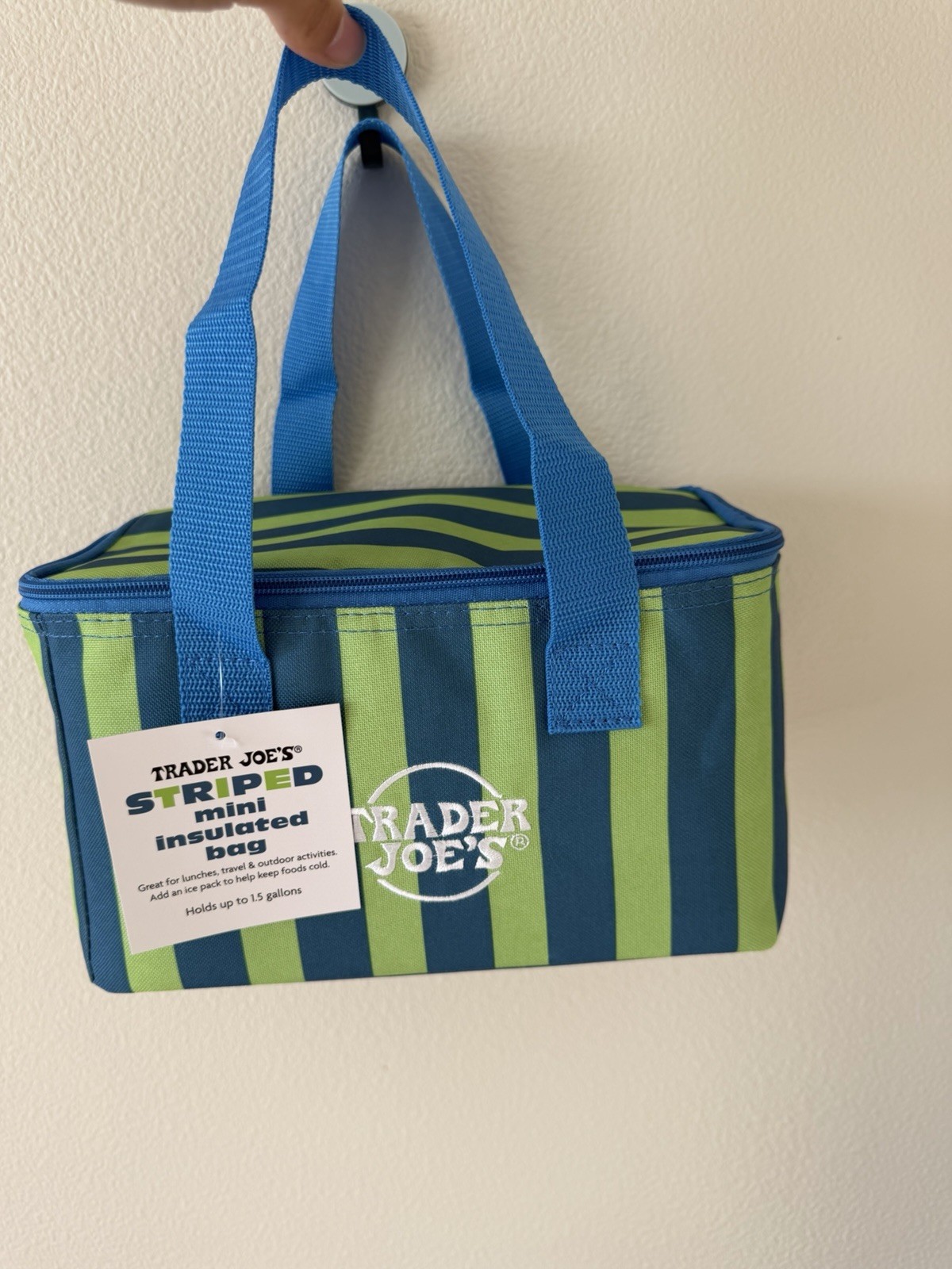 Trader Joes Mini Insulated Lunch Tote Bag – 2026 New – Blue & Green Stripes NWT