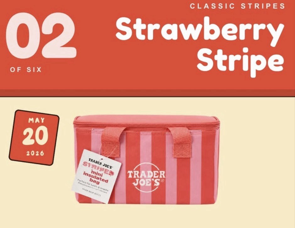 Trader Joe’s New Summer STRIPEs Mini Insulated Lunch Bag Set Of 2, NWT