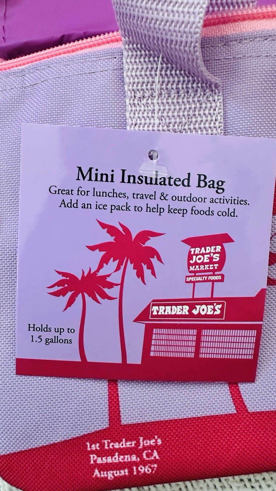 Trader Joe’s Insulated Leak-Proof Reusable Tote Bags Large & Mini Multicolor Set