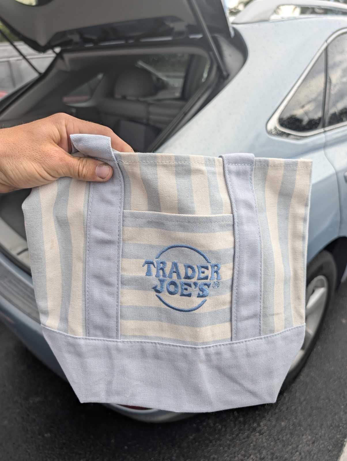 Trader Joe’s Striped Mini Canvas Tote Bag Blue/White 13x6x10 Cotton Blend