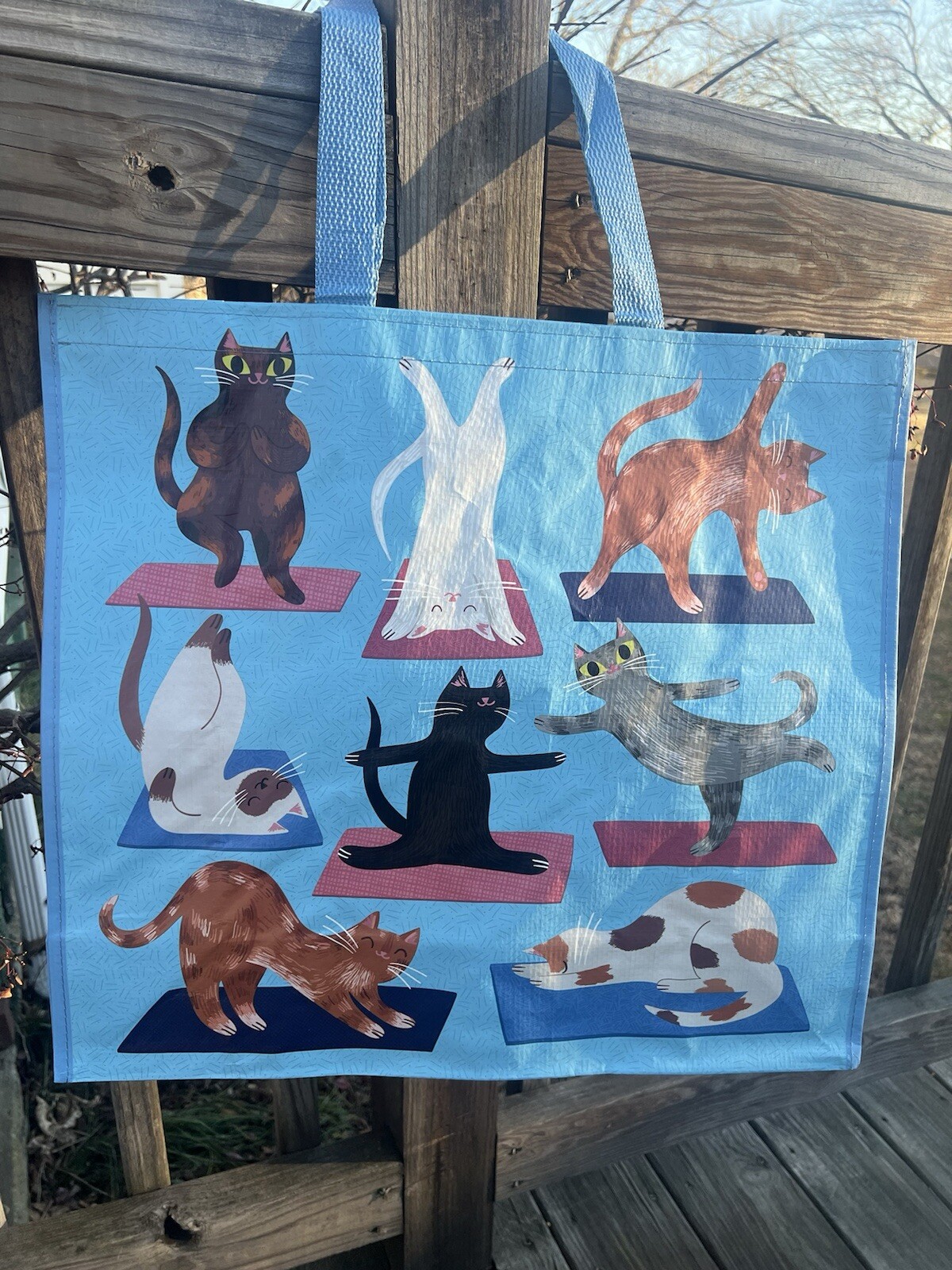 NEW TJX Shopping Bag HAPPY 😊 DANCING CATS Reusable Tote Bag