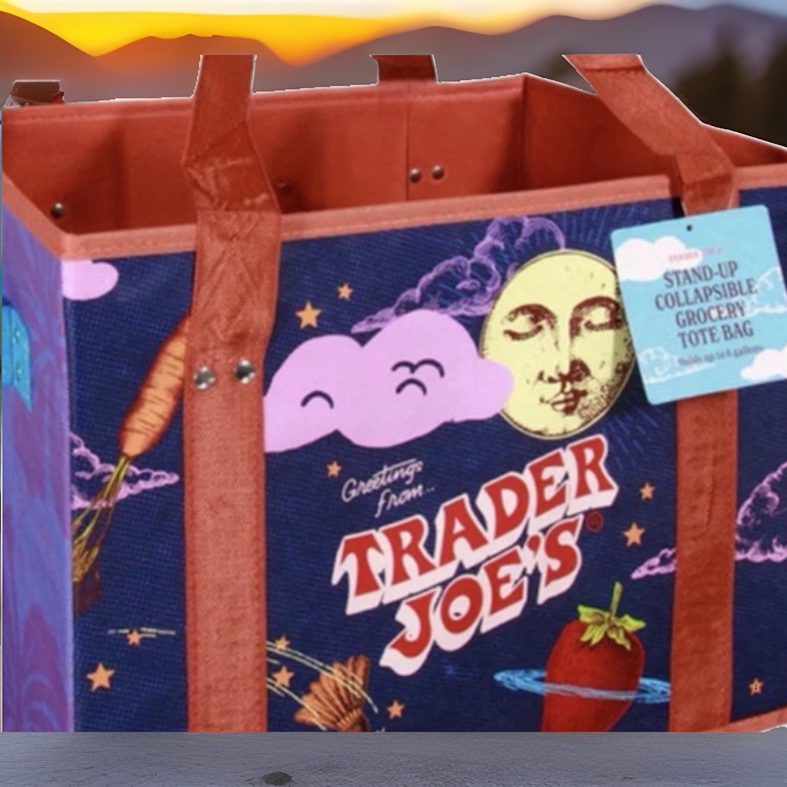 💛 2 Pack NEW Trader Joe’s Stand Up Foldable Reusable Grocery Storage Tote Bags