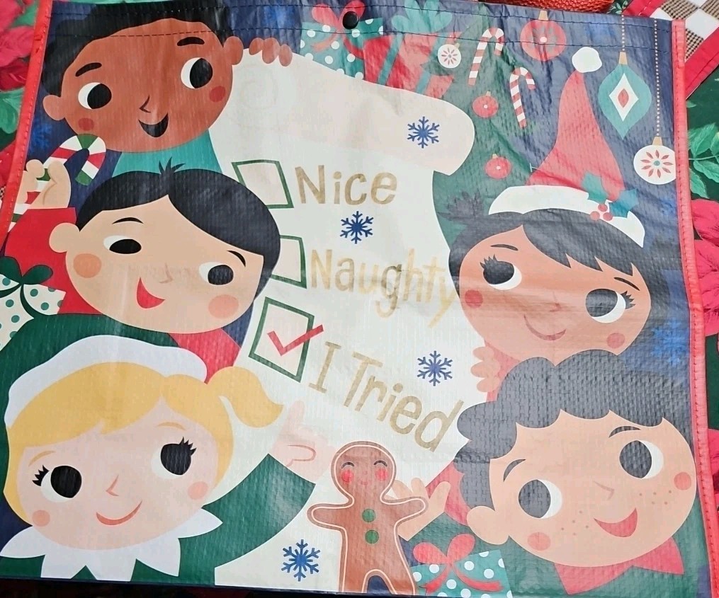 NEW NICE NAUGHTY SHOPPING BAG REUSABLE TRAVEL TOTE SNAP CLOSURE 19″ X 18.5″ X 7″