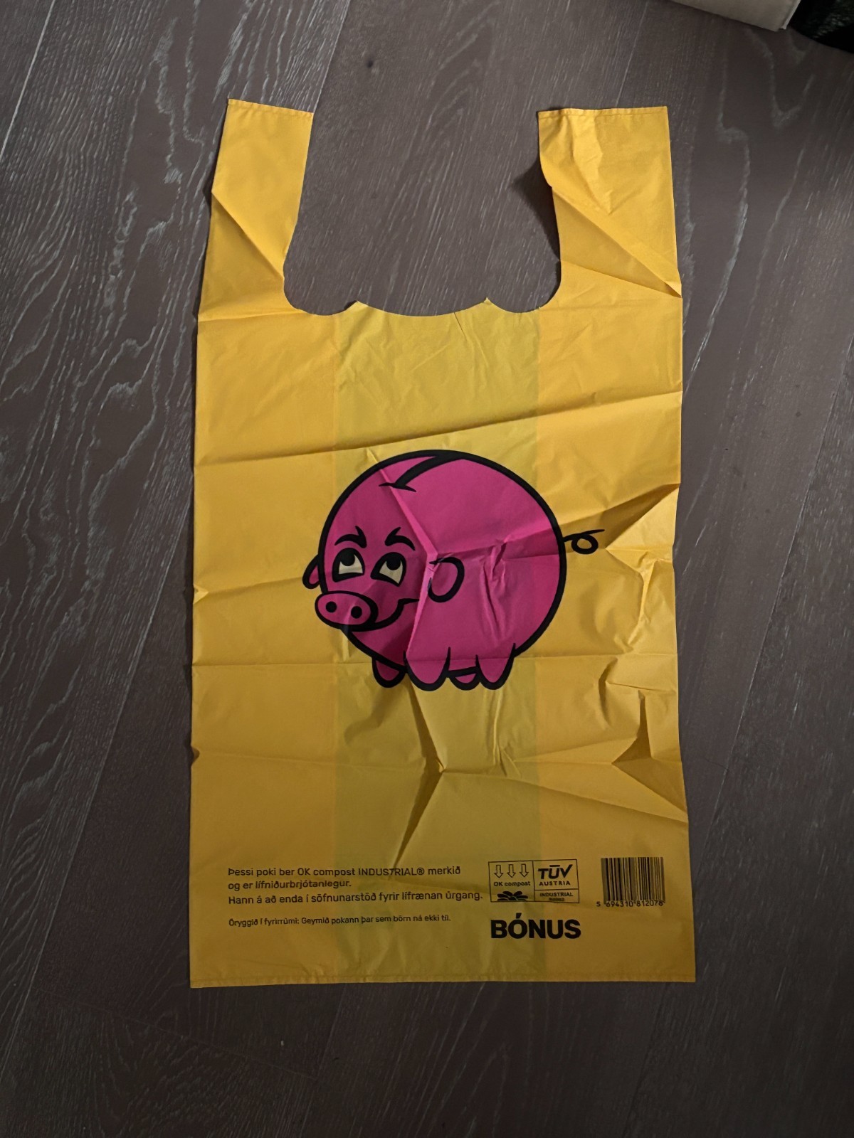 NBONUS Iceland Shopping Tote Bags: 1 Large Waterproof & 1 Medium Size + Free Bag
