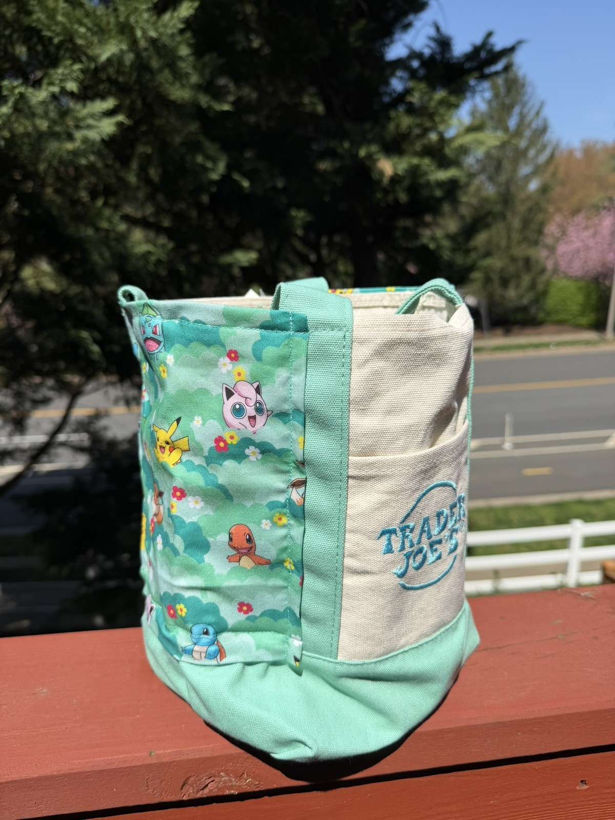 Pokémon Trader Joe’s Mini Canvas Tote -Teal, Spring 2026 – Handmade w/tag