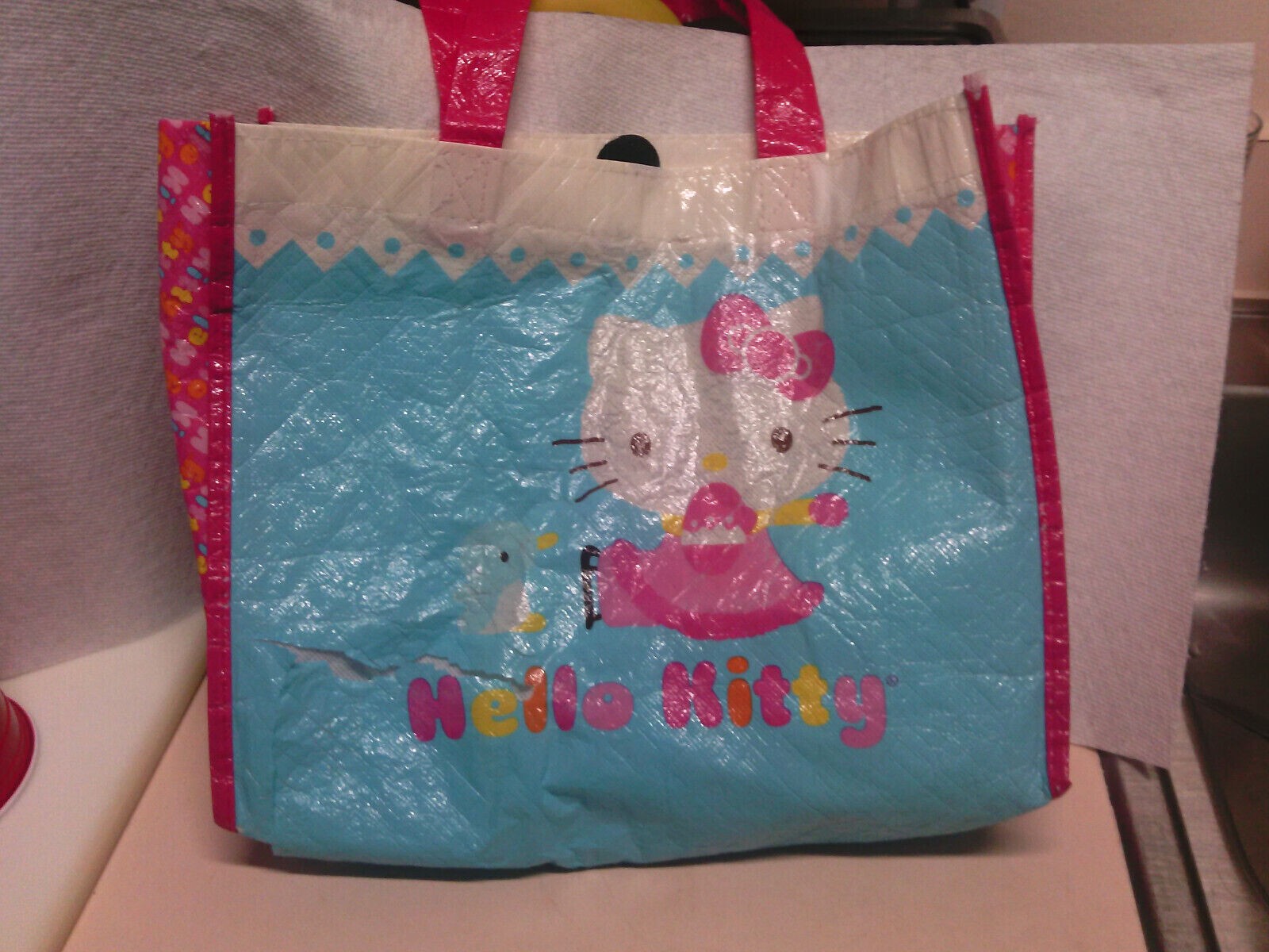Horizon Group Sanrio Hello Kitty Canvas Plastic Bag 2012 43999 (Ripped Plastic)