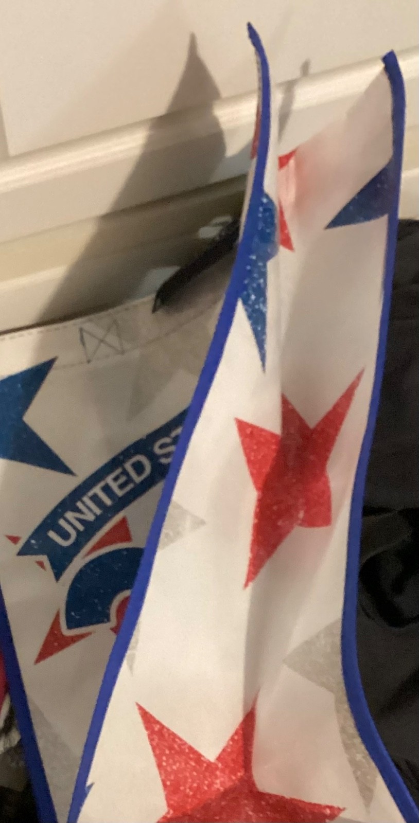 Publix United States of America Reusable Shopping Bag 250 Anniversary Stars NWT