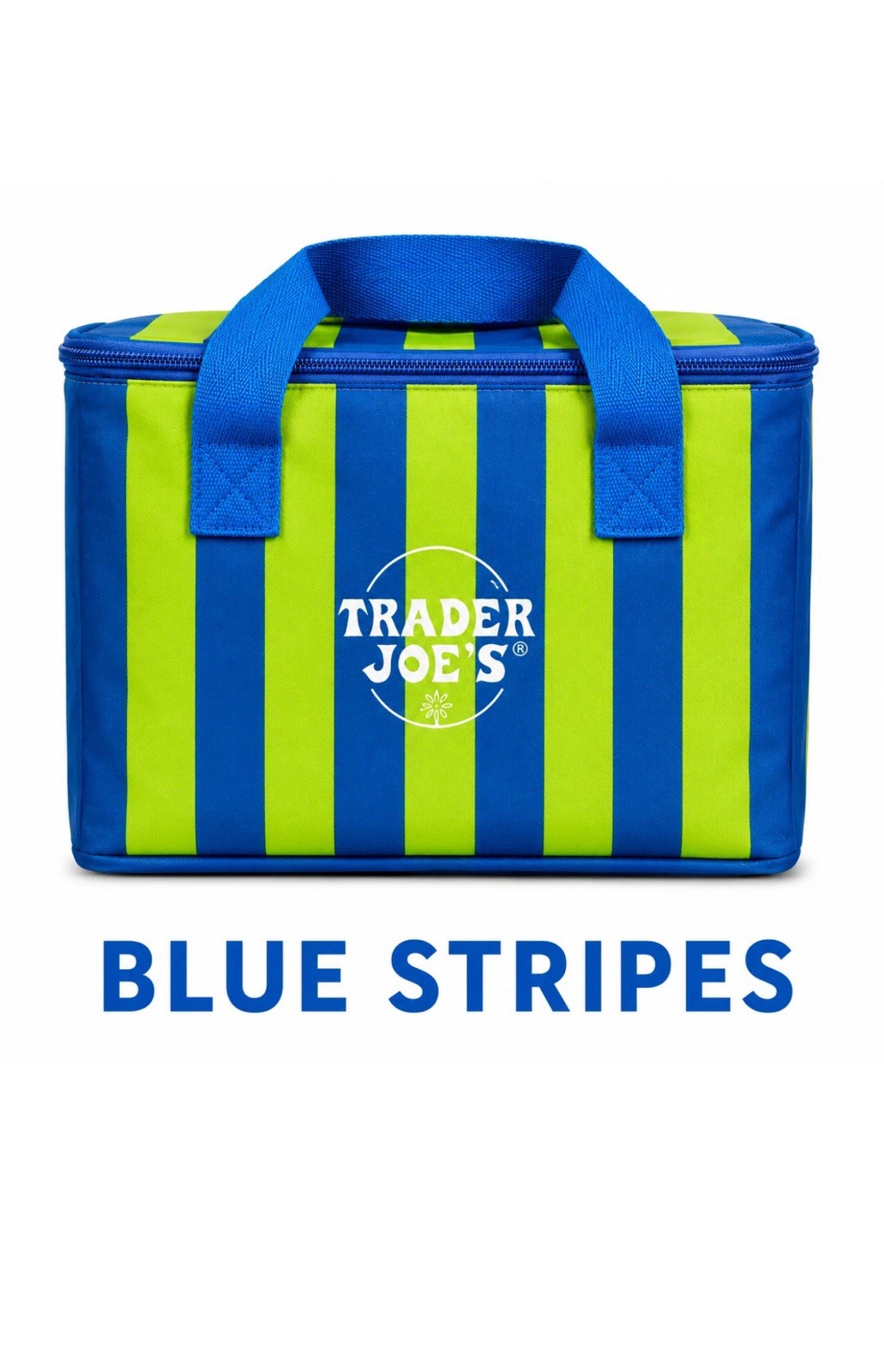 Trader Joe’s Reusable Bag Blue Green Stripes Insulated Tote Lunch Bag