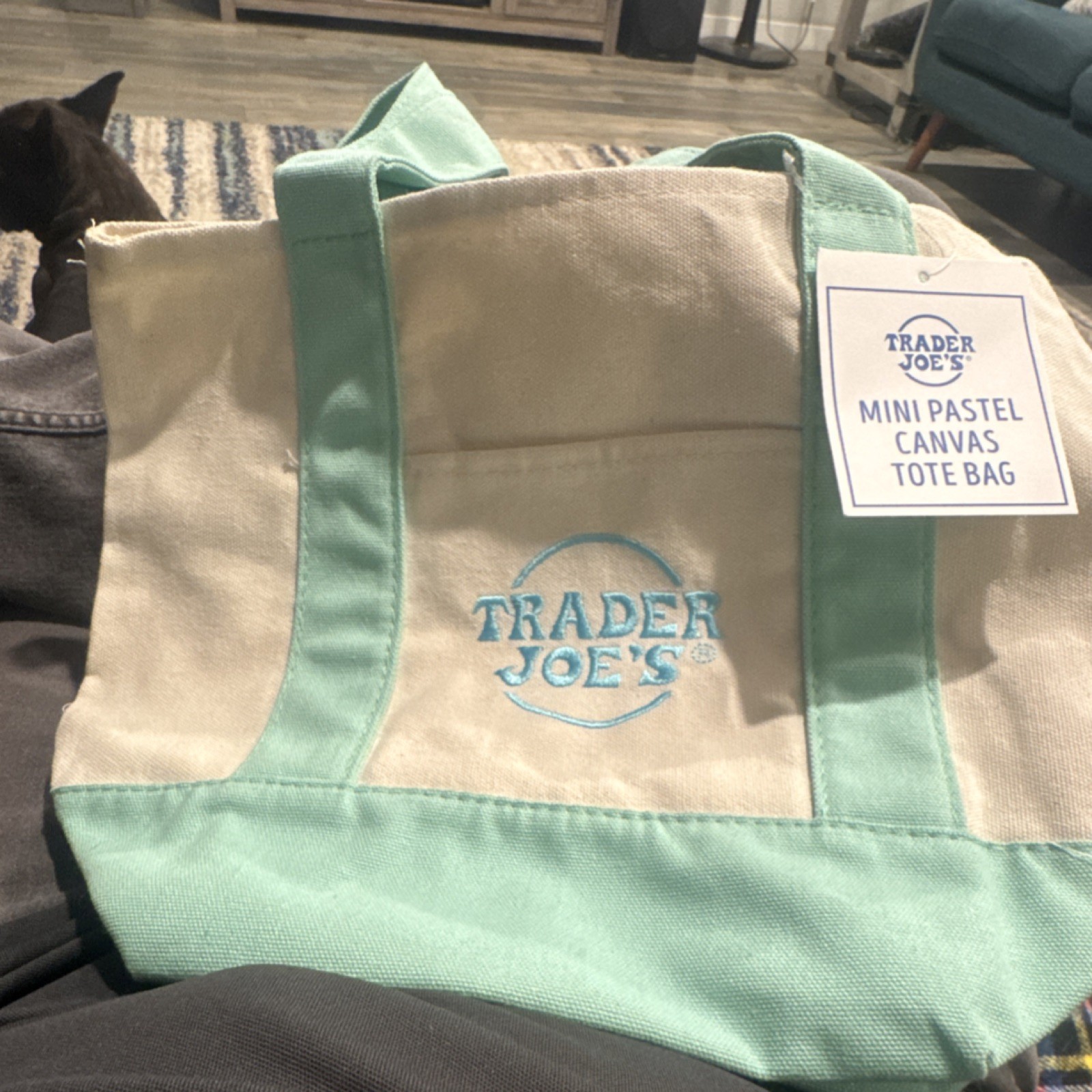 Trader Joe’s Mini Pastel Green Beige Foldable Canvas Tote Bag Cotton Polyester