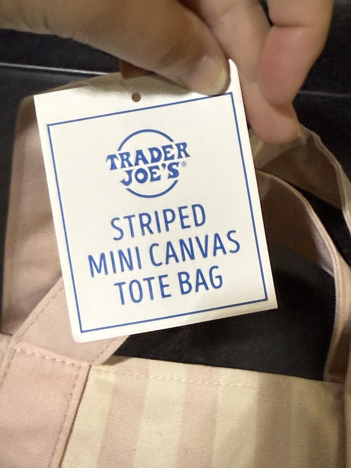 NWT 2026 Trader Joe’s Mini Canvas Tote Bag Striped Limited Edition Pink Color