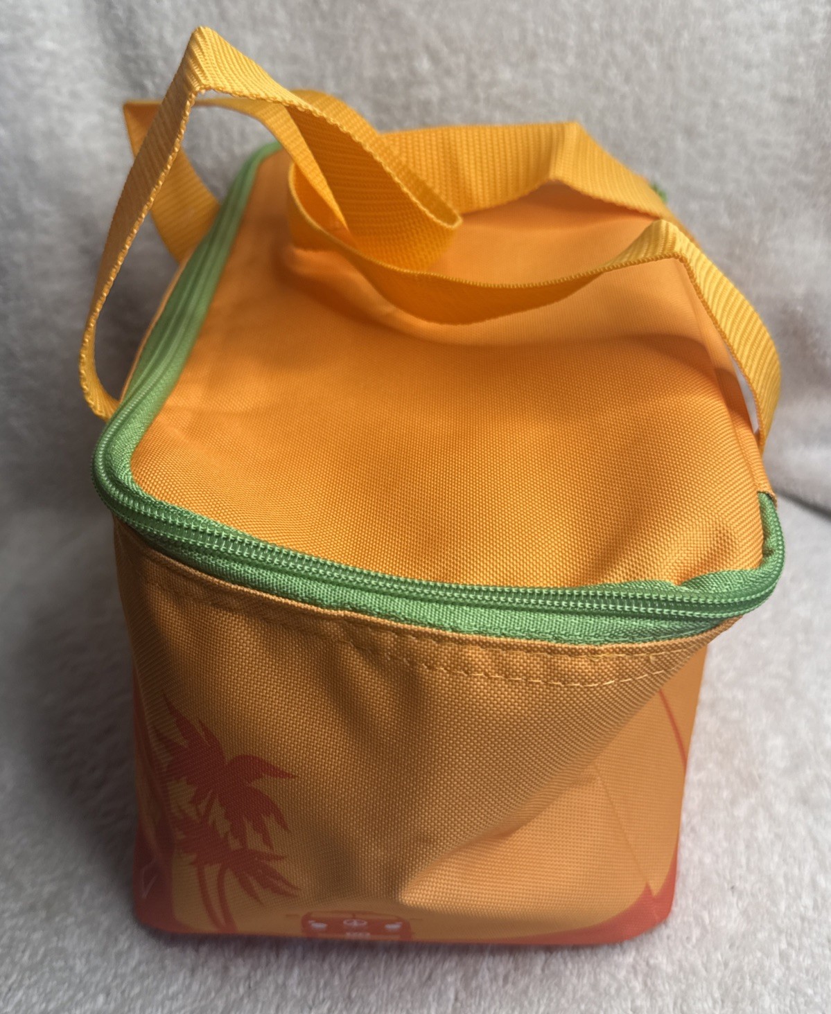 Trader Joe’s 2026 Mini Insulated Summer Mini Tote Cooler Bag Green Orange