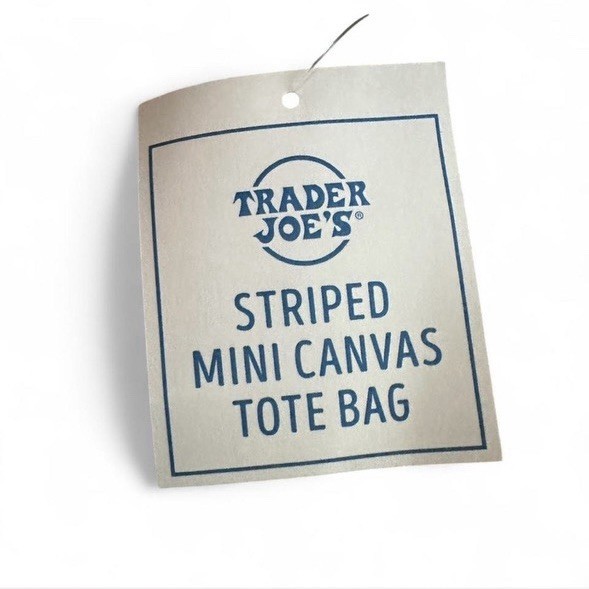 Trader Joe’s Striped Mini Canvas Tote Bag Small Multicolor 13x11x6 in