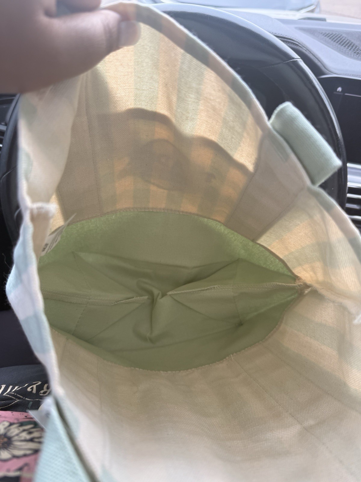 Trader Joe’s Striped Mini Canvas Tote Bag Green/Beige 10x10x10 in New
