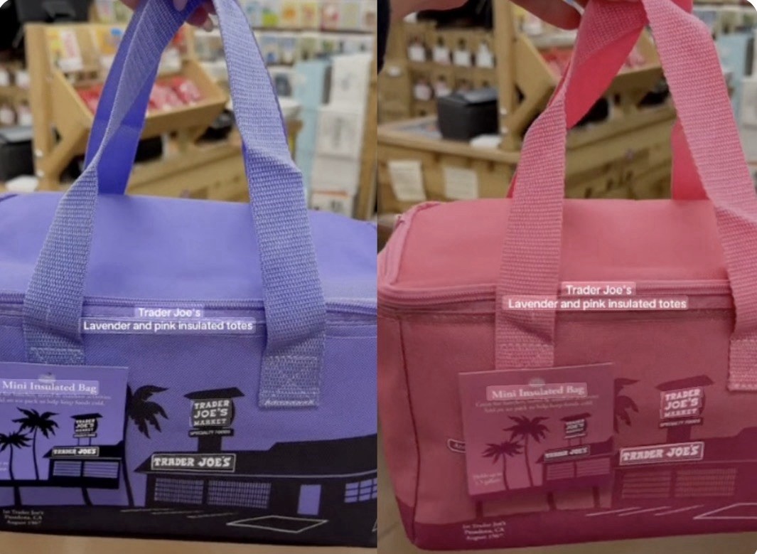 Trader Joe’s Mini Insulated Tote Bag- Purple And Pink
