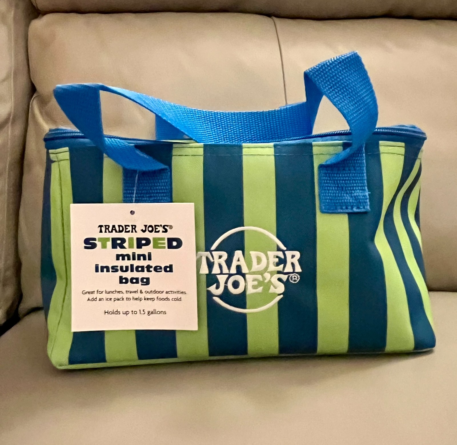 Trader Joe’s Mini Insulated Cooler Tote Bag NWT- Limited Edition 2026