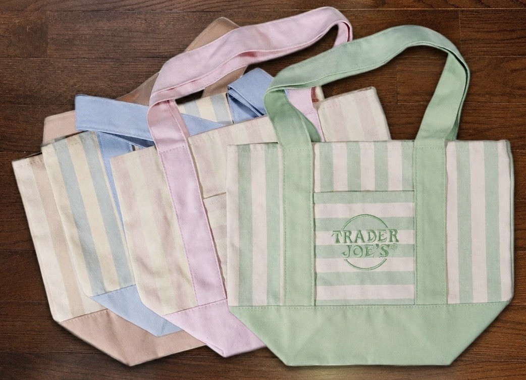 Trader Joe’s Small Canvas Stripe Tote Bag 11x6x6 Green Pink Blue Beige