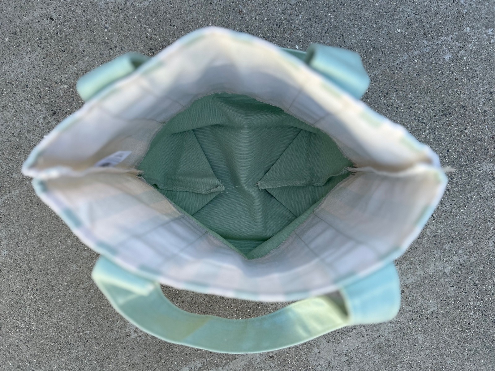 Trader Joe’s mint green/seafoam green mini tote bag